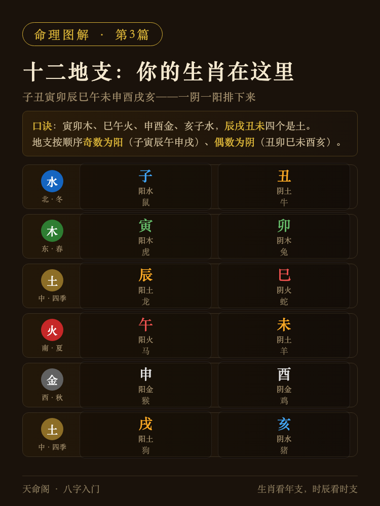 十二地支总览表